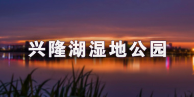 兴隆湖湿地公园