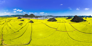 云南 | 罗平油菜花节