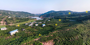 太阳能杀虫灯龙泉山基地应用实景